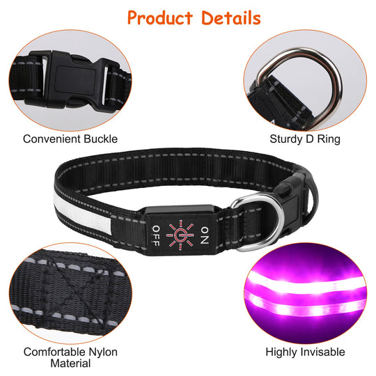 GBruno Light Up Dog Collar