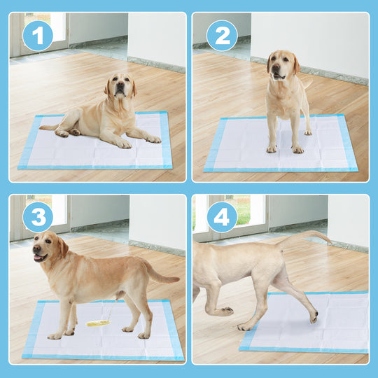 100 pieces 30 x 36 inch Pet Wee Pee Piddle Pad