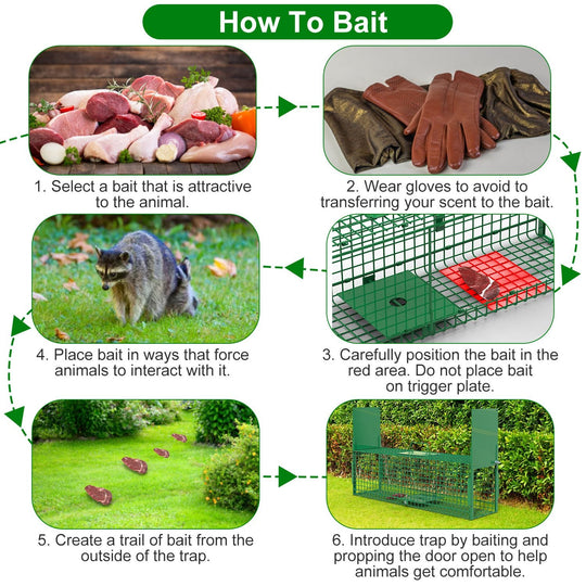30in 1 Door Live Animal Cage Trap For Animals Under 5LBS Easy To Setup Humane Galvanized Iron Trap Cage For Small Cats Rabbits Squirrels Moles Chipmun
