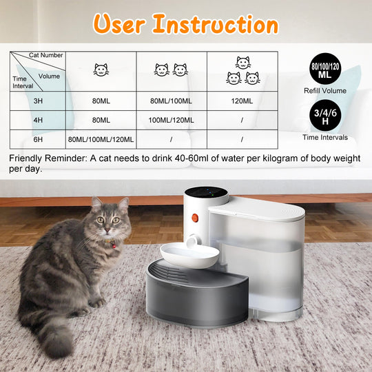 GBruno 3L Cordless Pet Water Fountain with Timer