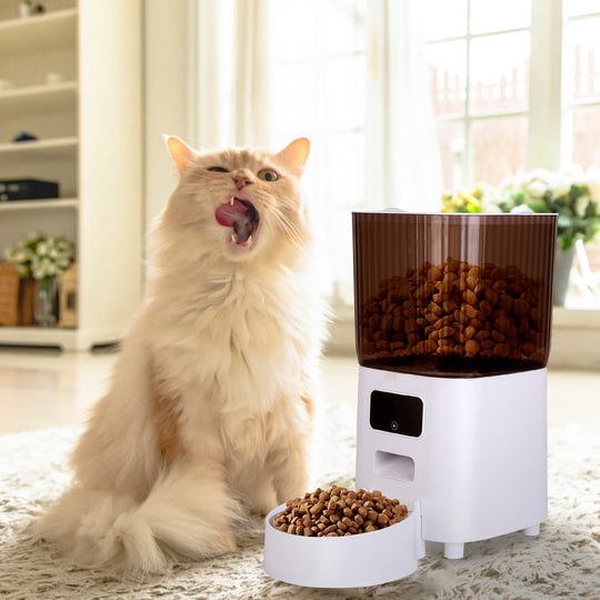 GBruno 5L Automatic Pet Feeder