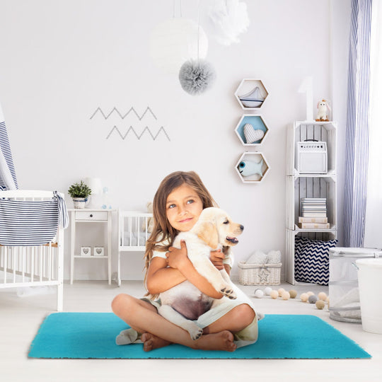 Fluffy Bedroom Rug 4Õ x 2.6Õ Anti-Skid Shaggy Area Rug Decorative Floor Carpet Mat for Nursery Bedroom Living Room