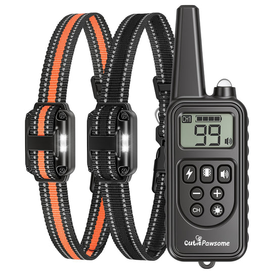 Rechargeable Dog Training Collar with Remote – 875 Yard Range