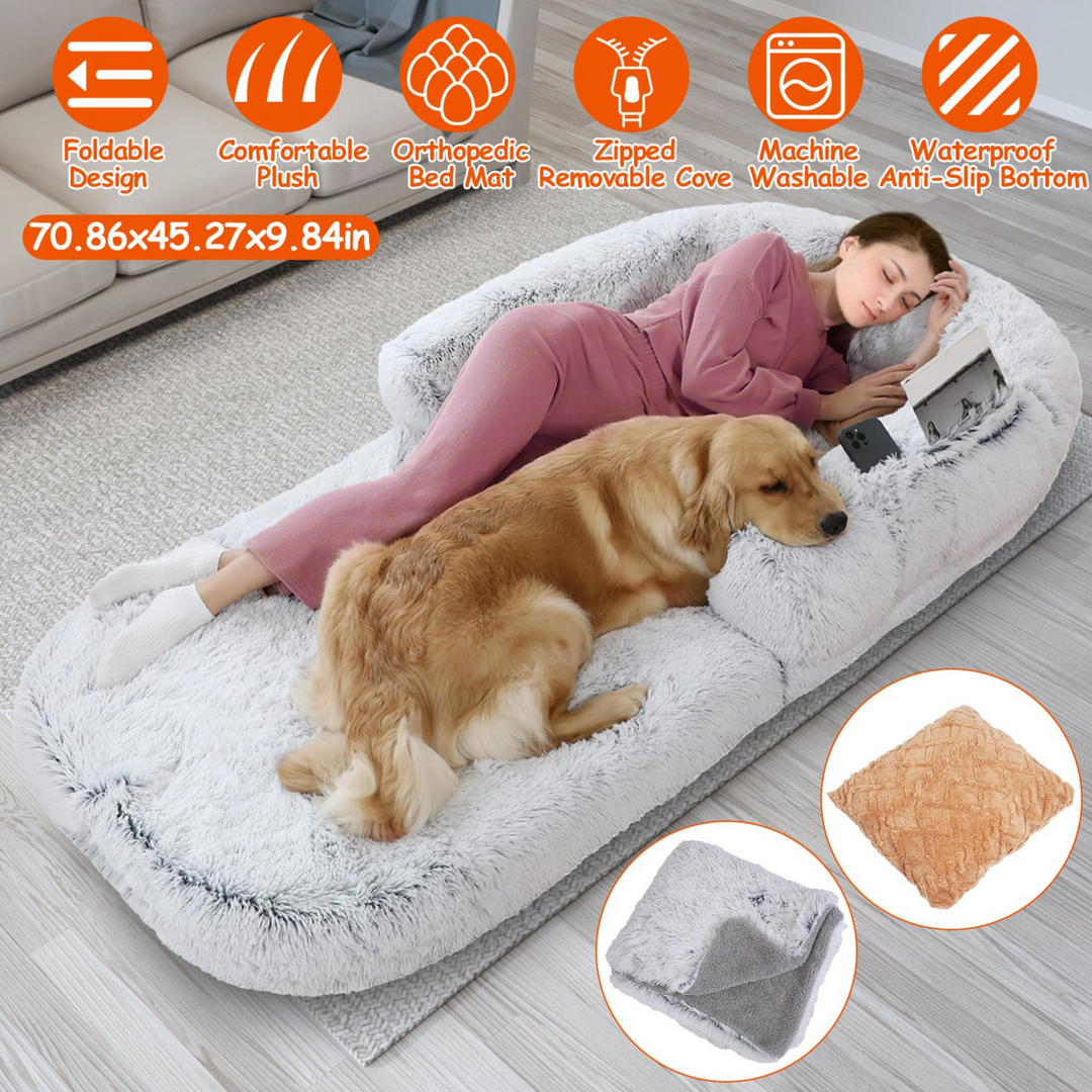 GBruno Large Foldable Human Size Dog Bed