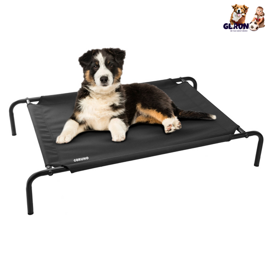 GBruno Elevated Pet Bed Dogs