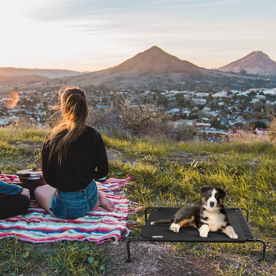 GBruno Elevated Pet Bed Dogs