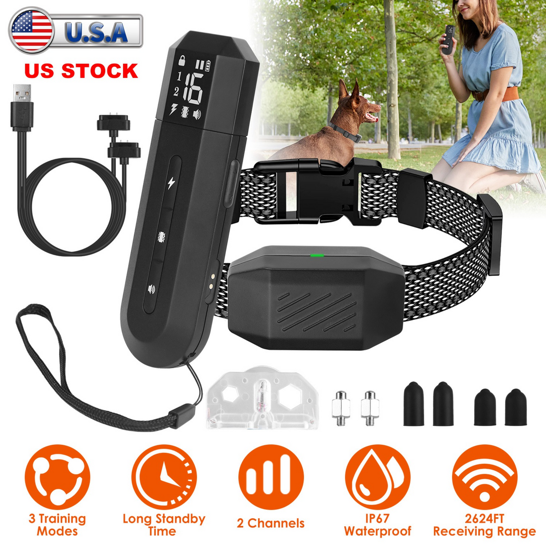 GBruno Dog Training Collar with Remote