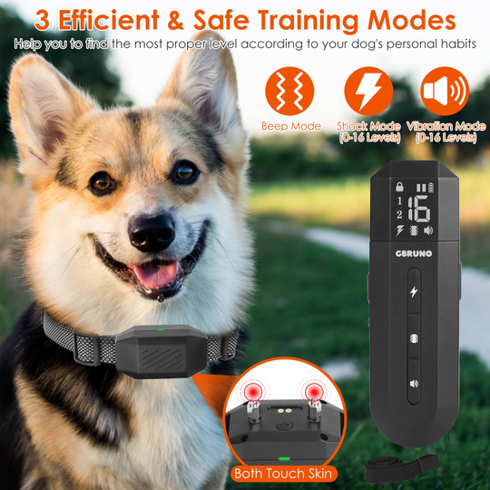 GBruno Dog Training Collar with Remote