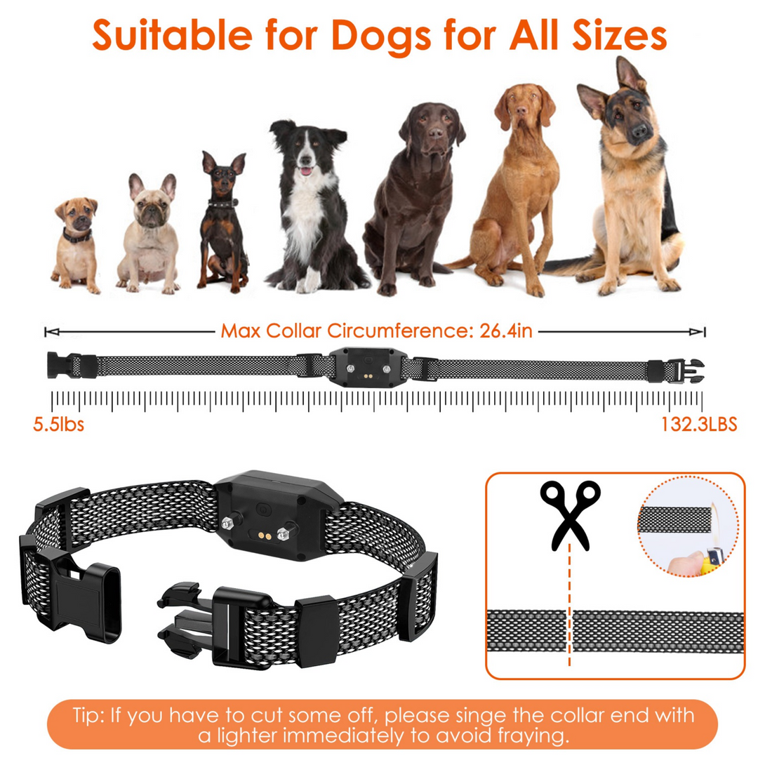 GBruno Dog Training Collar with Remote