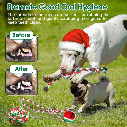 5Pcs Christmas Dog Rope Chew Toys Dog Interactive Toys Set for Puppy Small Medium Aggressive Chewers Dogs Training Teething Playing