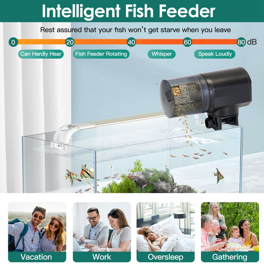 GBruno Automatic Fish Feeder