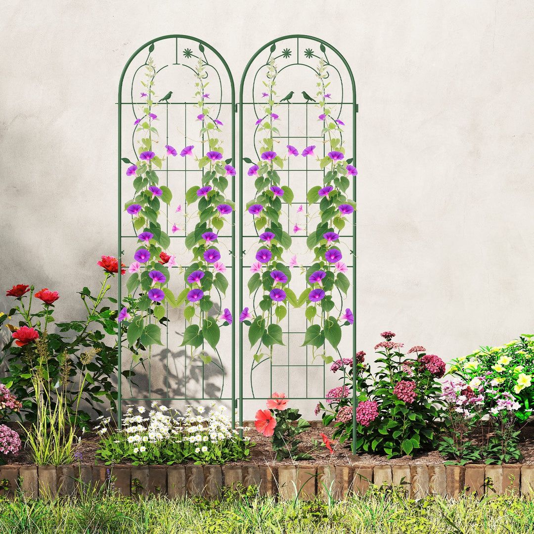 2 Pack 71 x 20 Inch Metal Garden Trellis Rustproof Plant Support for Climbing Plants