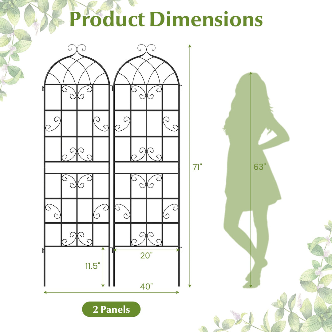 2 Pack 71" x 20" Metal Garden Trellis for Outdoor Climbing Plants