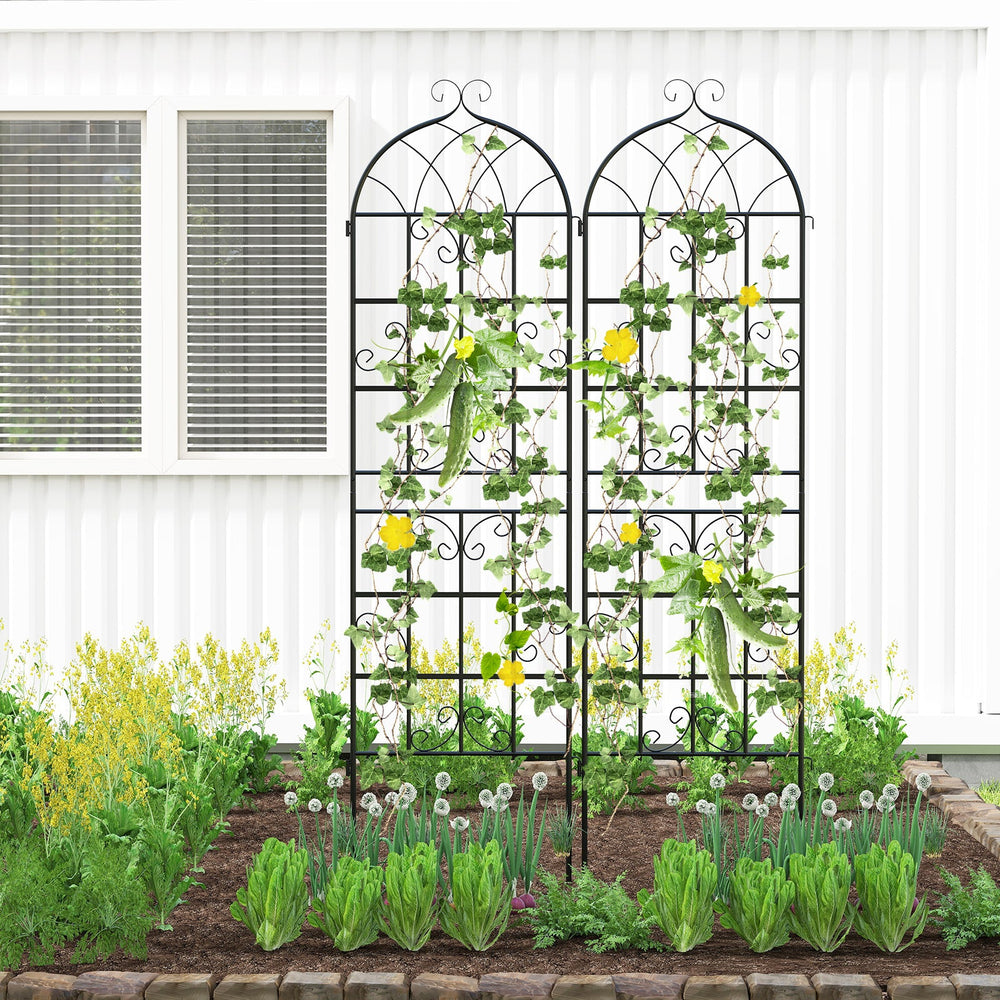 2 Pack 71" x 20" Metal Garden Trellis for Outdoor Climbing Plants