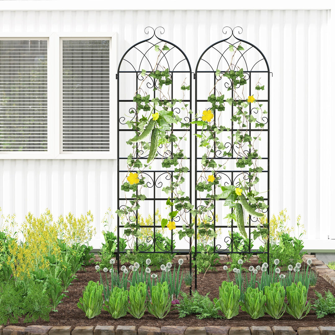 2 Pack 71" x 20" Metal Garden Trellis for Outdoor Climbing Plants