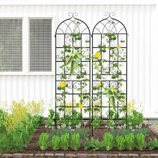 2 Pack 71" x 20" Metal Garden Trellis for Outdoor Climbing Plants