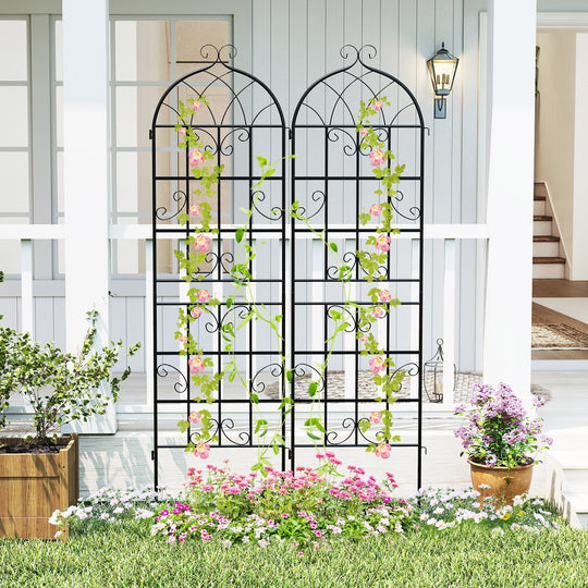 2 Pack 71" x 20" Metal Garden Trellis for Outdoor Climbing Plants