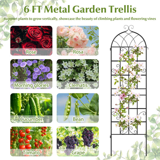 2 Pack 71" x 20" Metal Garden Trellis for Outdoor Climbing Plants