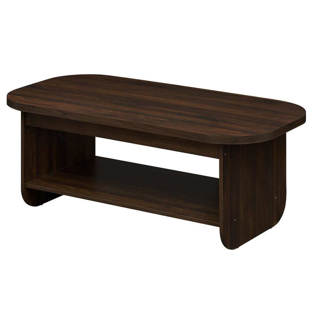 2-Tier Oval Coffee Table for Living Room Mid Century Center Table with Bottom Storage Shelf