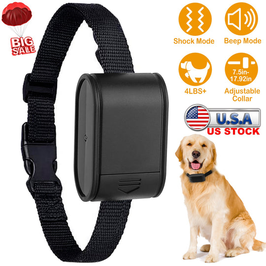 GBruno Electric Dog Collar Receiver