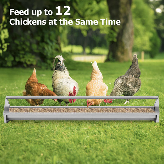 Metal Chicken Feeder Chicken Feeding Trough with Drainage Holes-Silver