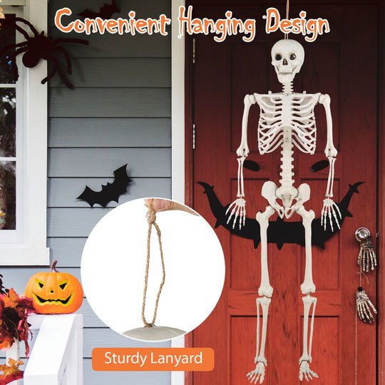 5.4 FT Halloween Skeleton Decoration Life Size Large Skeleton