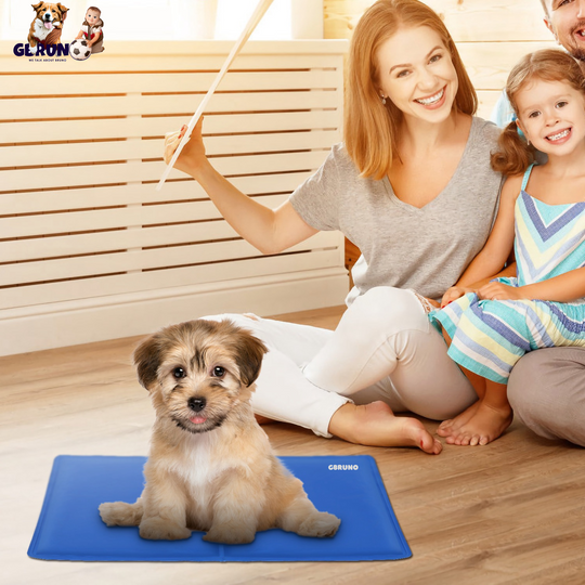 GBruno Pet Dog Cooling Mat