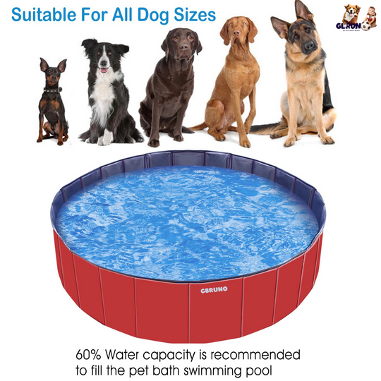 GBruno Foldable Pet Swimming Pool