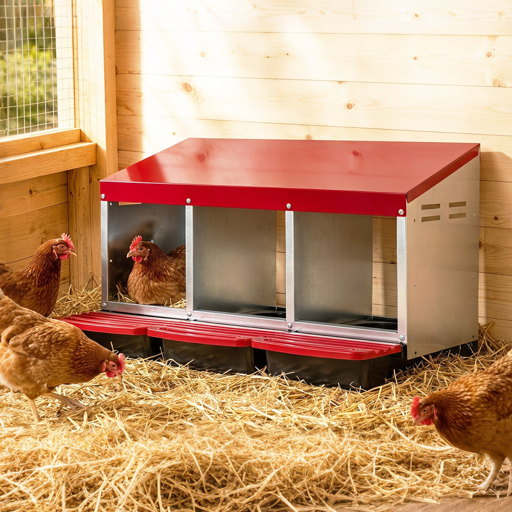 3-Compartment Roll Away Metal Chicken Nesting Box