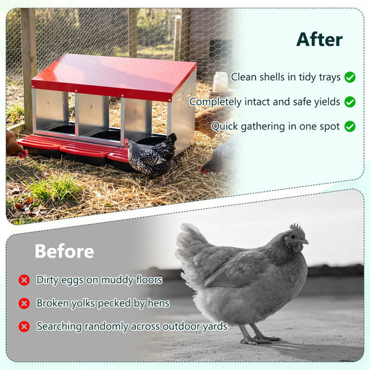 3-Compartment Roll Away Metal Chicken Nesting Box