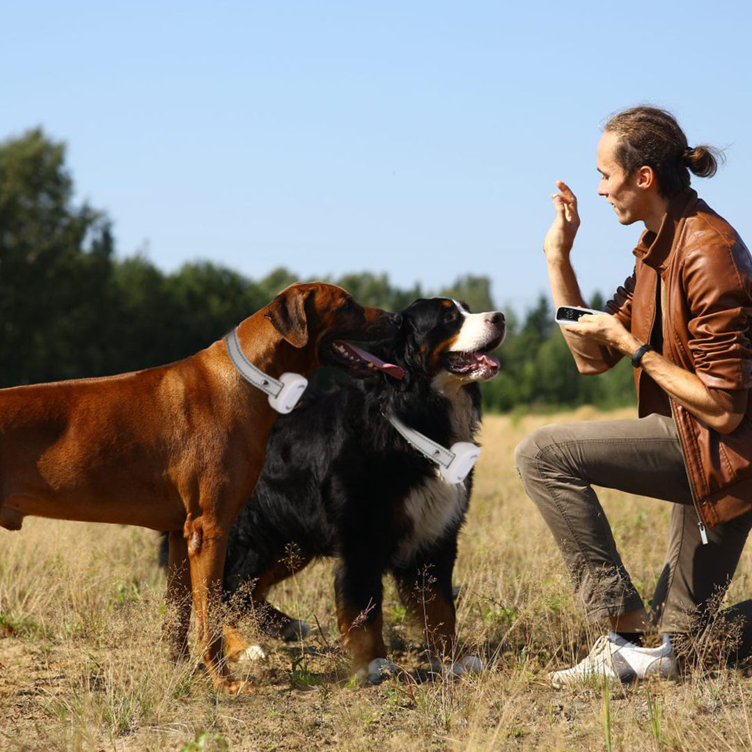 GBruno Electric Remote Training Collar