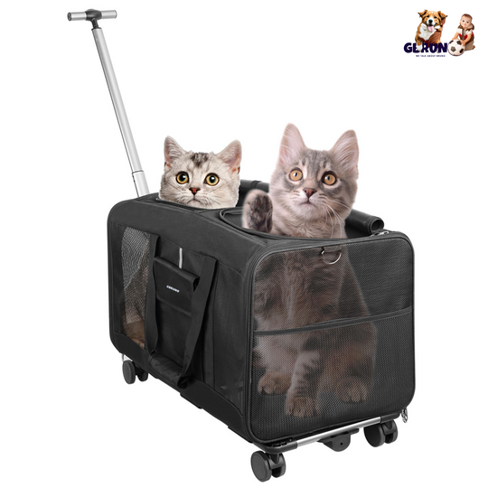 GBruno Double-Compartment Pet