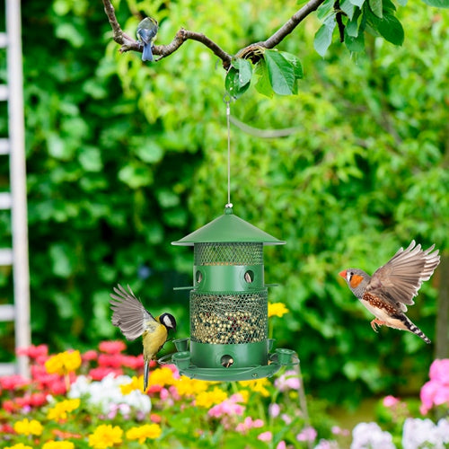 GBruno Wild Bird Feeder