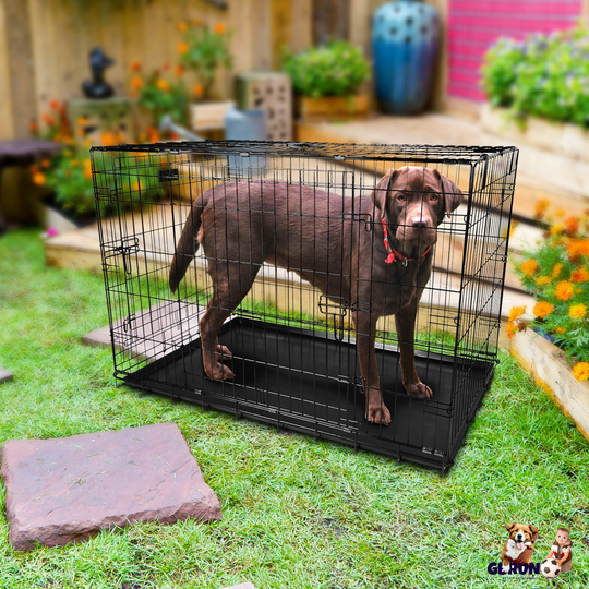 GBruno Folding Metal Pets Crates