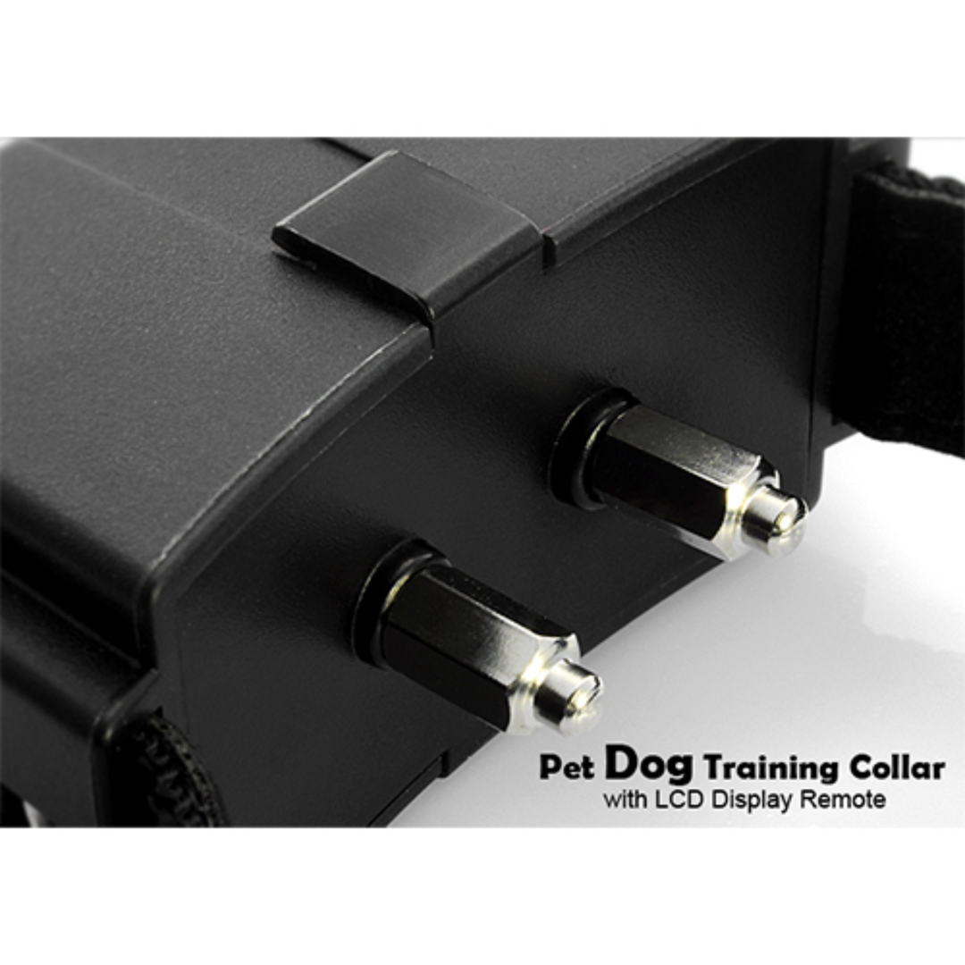 GBruno Remote Pet Dog Training Collar