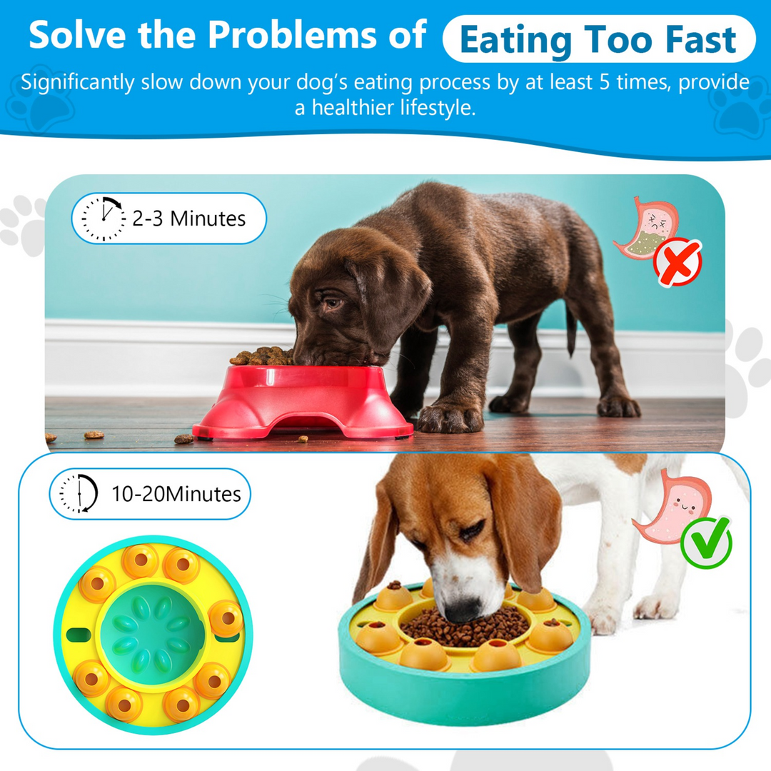 GBruno Dog Puzzle Food Feeder