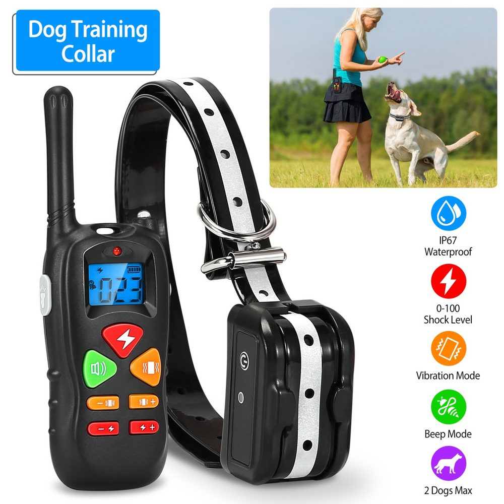 GBruno iMounTEK Dog Training Collar Dog