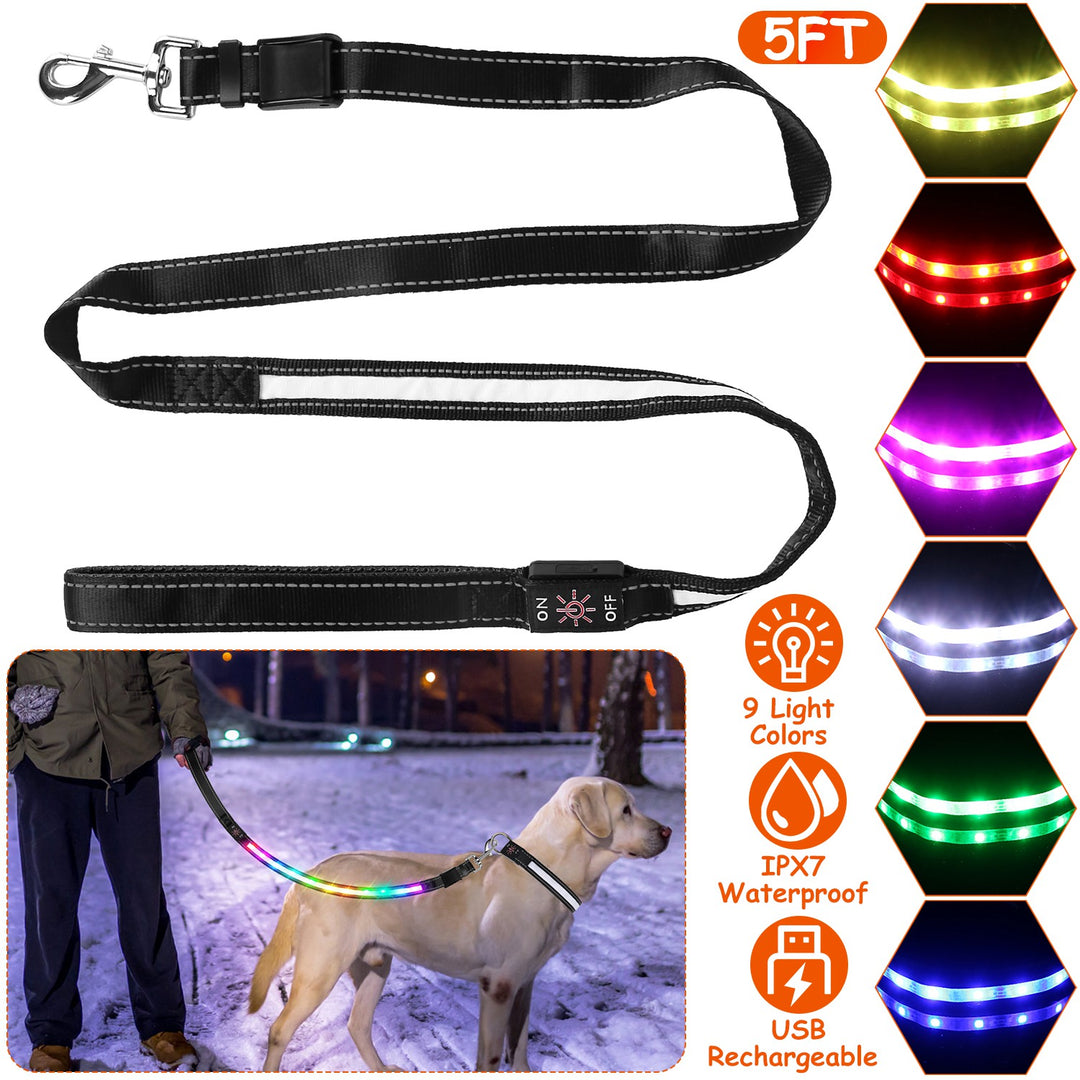 GBruno Light Up Dog Leash