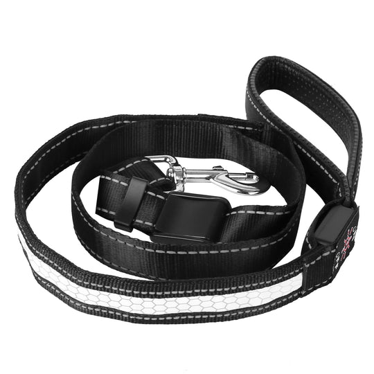 GBruno Light Up Dog Leash