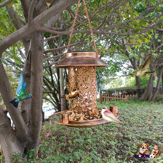 GBruno Solar Bird Feeder