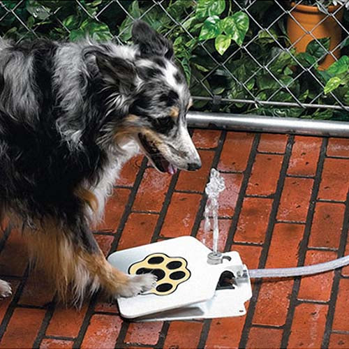 GBruno Pet Dog Fountain