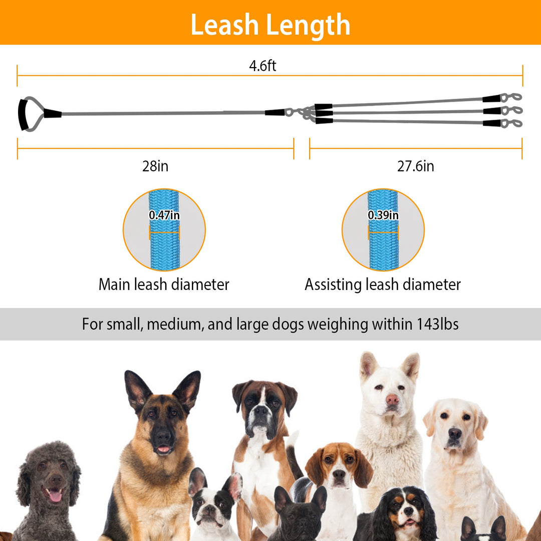 GBruno 3 Dog Leash