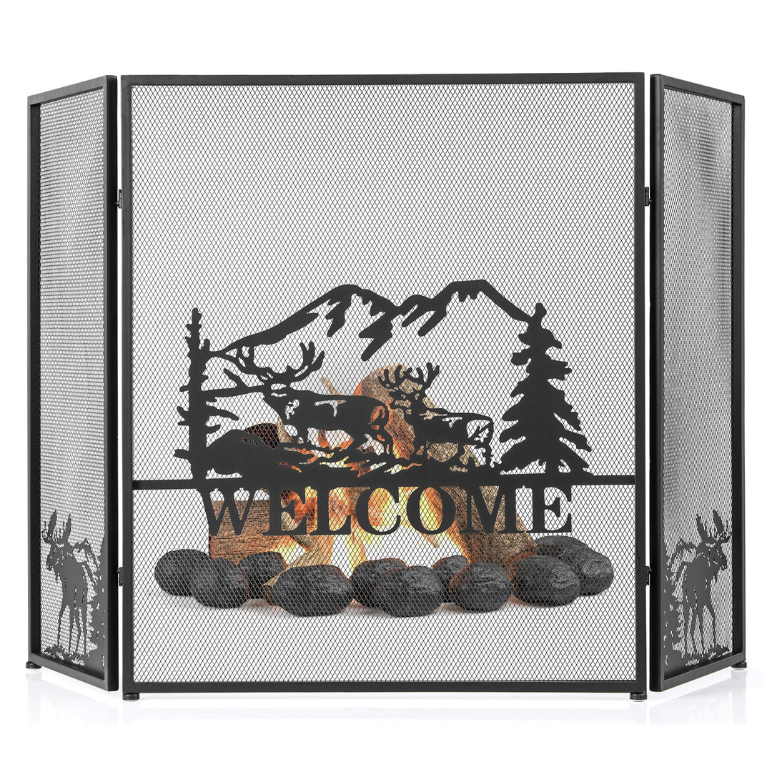 52 x 31 Inch Fireplace Screen