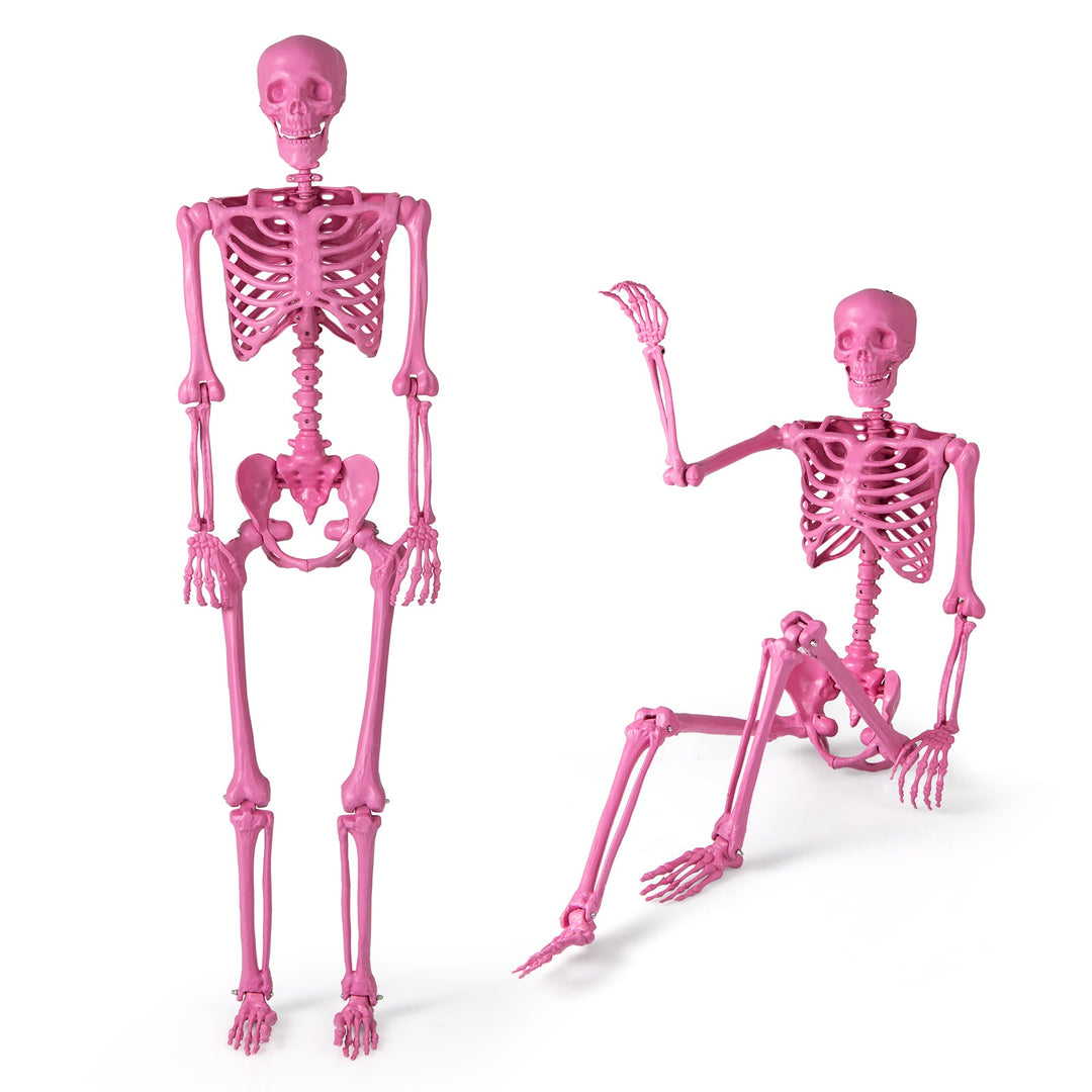 5.5 FT Life-Size Halloween Poseable Skeleton Pink Movable Joints