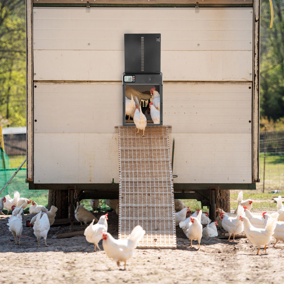 GBruno Automatic Chicken Coop Door