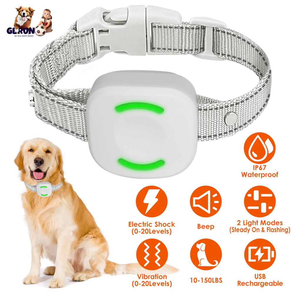 GBruno IP67 Waterproof Electric Dog Training Collar