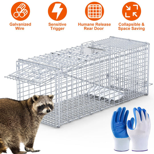 Live Animal Trap Cage 37x14x15in Folding Catch and Release Humane Cat Trap Galvanized Iron for Raccoons Foxes Coyotes Stray Dogs Armadillos Squirrels