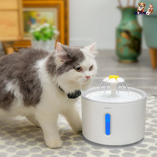 GBruno 2.4L Automatic Dog Cat Water Fountain