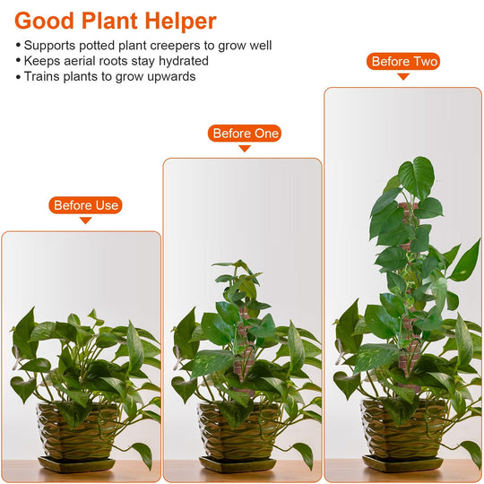 4Pcs Coco Coir Extendable Moss Pole for Climbing Plants Plant Support with 10 Labels 6.6Feet Jute Rope 6.6 Feet Fasten Strap 65.6 Feet Twist Tie Indoo
