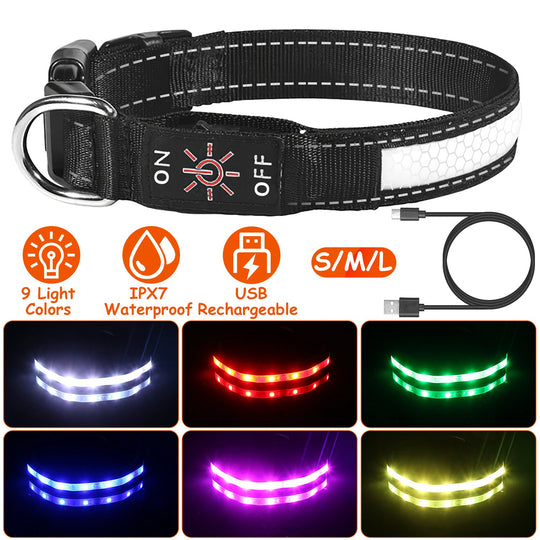 GBruno Light Up Dog Collar